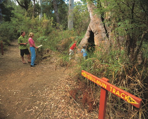 Walpole-Nornalup National Park - Sydney 4u 1