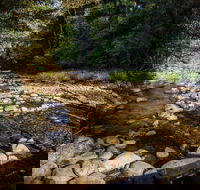 Wilson River picnic area - Accommodation Sydney