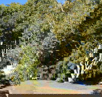 Anzac Avenue Memorial Trees Beerburrum - Sydney 4u