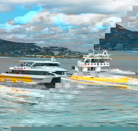 Apex Camps Magnetic Island Group Accommodation Activities and Events - Accommodation Sydney