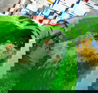 AquaPulse - Sydney Resort