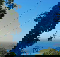 Arthurs Seat Eagle - Sydney 4u