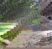 Bangadilly National Park - Sydney 4u