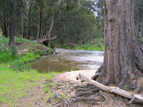 Bangadilly National Park - Sydney 4u 0