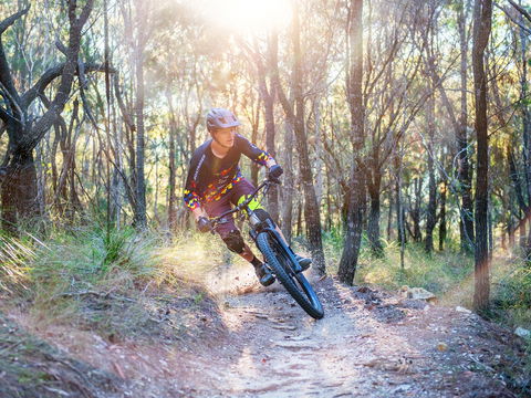 Bayview Conservation Area - Accommodation Sydney 0