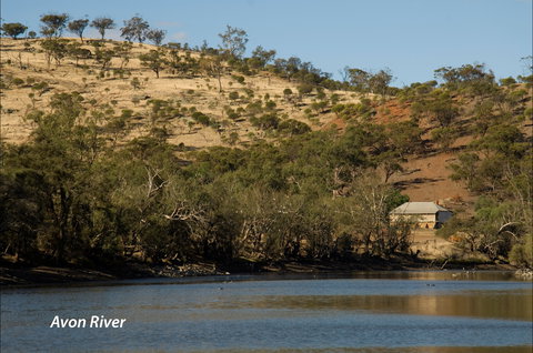 Bilya Walk Track - Sydney Resort 2