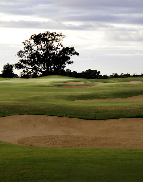 Black Bull Golf Course - Accommodation Sydney 1