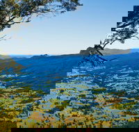 Blackbutt Lookout Picnic Area - Accommodation Sydney