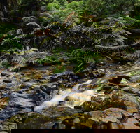 Budderoo National Park - Sydney Resort