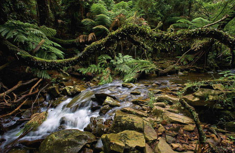 Budderoo National Park - Sydney Resort 0