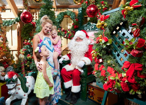 Christmas Tree Farm - Sydney 4u 2