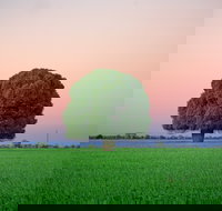 Condamine - Accommodation Sydney