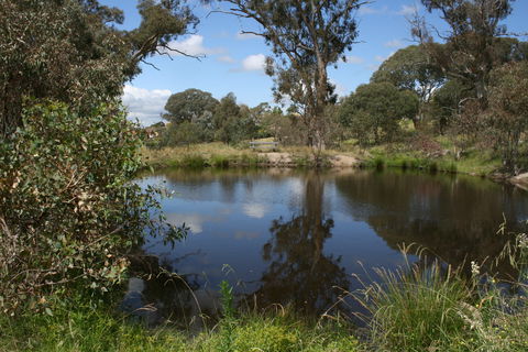 Cooleman Ridge - Sydney 4u 0