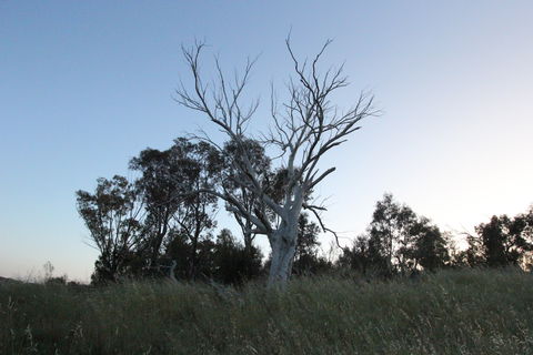 Cooleman Ridge - Sydney 4u 1