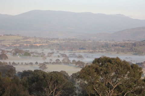Cooleman Ridge - Sydney 4u 2