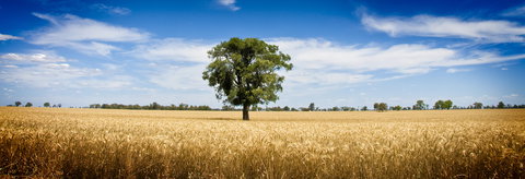 Coonamble - Accommodation Sydney 1