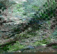 Corn Trail - Sydney Resort