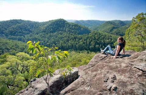 Dubbo Gully Loop Trail - Sydney 4u 0