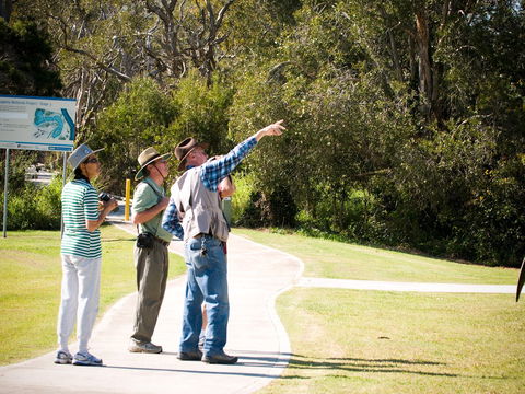 Eagleby Wetlands - Accommodation Sydney 2