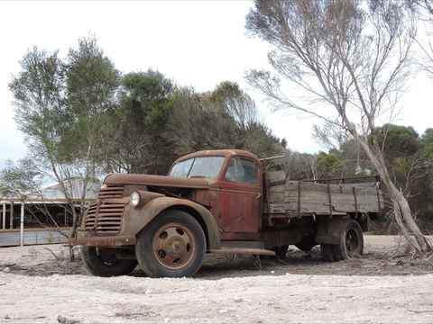 Emu Ridge Eucalyptus Pty Ltd - Accommodation Sydney 2