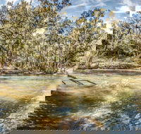 Flea Creek Picnic Area - Accommodation Sydney