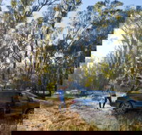 Forest Drive Murrumbidgee Valley National Park - Sydney 4u