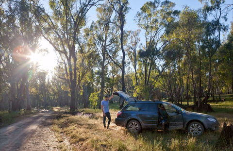 Forest Drive, Murrumbidgee Valley National Park - Sydney 4u 0