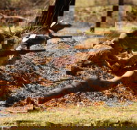 Freycinet Paintball and Campground - Accommodation Sydney