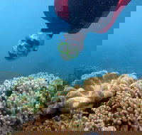 Geoffrey Bay Snorkel Trail - Accommodation Sydney