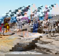 Gondwana Coast Fossil Walk - Accommodation Sydney