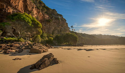 Greenglade Picnic Area - Sydney 4u 0