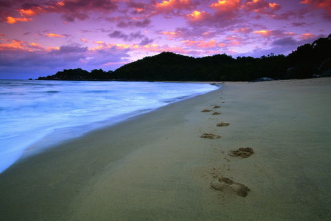 Hinchinbrook Island National Park - Sydney 4u 2