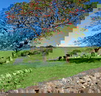 Historic Dry Stone Walls Kiama - Accommodation Sydney