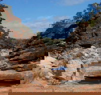 Homestead Gorge trail - Sydney 4u