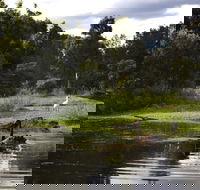 Hunter Wetlands Centre - Accommodation Sydney