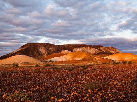 Kanku-Breakaways Conservation Park - Sydney 4u 0