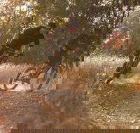 Kholo Gardens Trails - Sydney 4u
