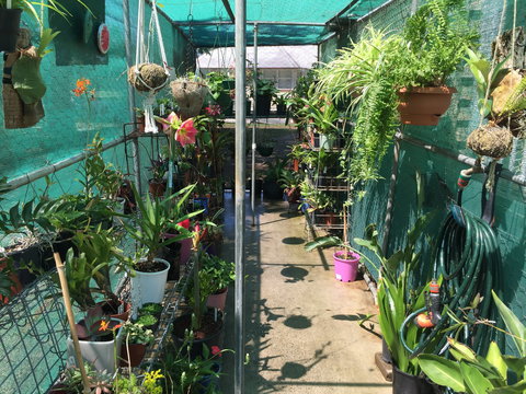 Kilcoy Craft Market - Sydney Resort 1