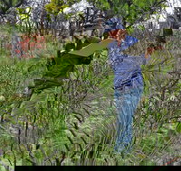 Lake Monjingup - Sydney Resort