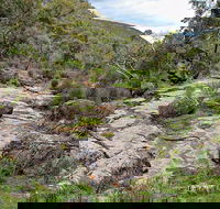 Lynchs Loop Trail - Accommodation Sydney