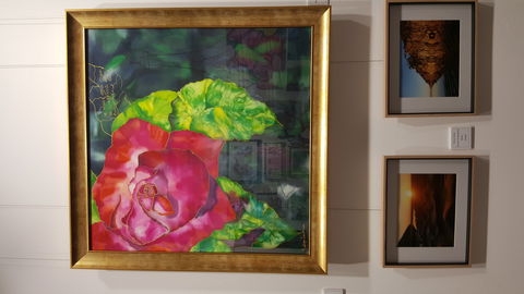 Macleay Valley Community Art Gallery - Sydney 4u 0