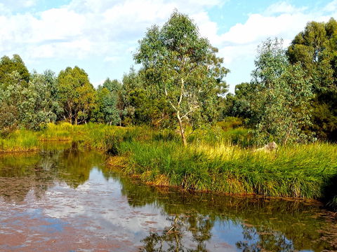 Mansfield Mullum Wetlands - Sydney 4u 0