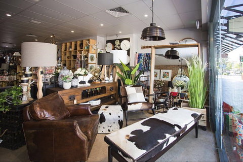 Mary And Tex Curious Emporium - Accommodation Sydney 0