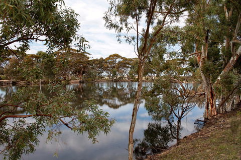 Merredin Railway Dam - Sydney 4u 0