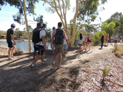 Merredin Railway Dam - Sydney 4u 1