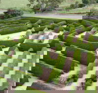 Mintaro Maze - Accommodation Sydney
