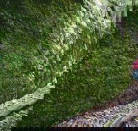 Morisset - Accommodation Sydney