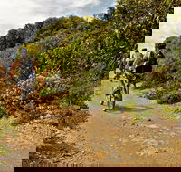 Mountain Biking Trails - Accommodation Sydney
