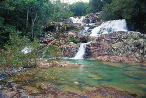 Mount Spec, Paluma Range National Park - Sydney 4u 1
