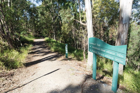 Mt Coot-tha Tourist Drive - Accommodation Sydney 0